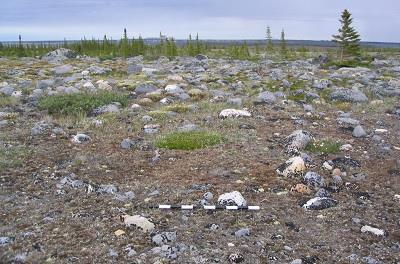General view