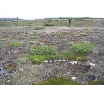 General view of Sea Horse Gully Remains, showing remains associated with Dorset House No. 2, 2005.; Dr. Lisa Hodgetts, 2005.