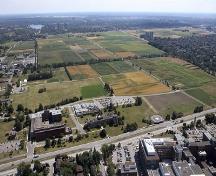 Vue aérienne des édifices du Centre de recherche et de développement d’Ottawa (bas à gauche), de l'avenue Carling (traversant de droite à gauche), et des champs d’essai (centre); Agriculture and Agri-Food Canada | Agriculture et Agroalimentaire Canada