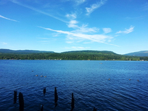 Old Mill Park; Cowichan Valley Regional District, 2015