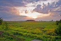 Front line of the battlefield of the Battle of the Châteauguay; Parks Canada | Parcs Canada