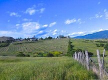Bella Vista Road; 