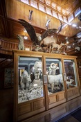 Interior view of the museum; Parks Canada | Parcs Canada / Kahli April