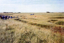 La promenade de Dulmage en 1993 dans les champs du camp Hughes; Parks Canada / Parcs Canada, 1993 (Grant Tyler)