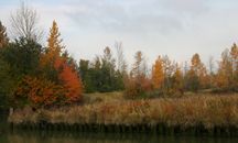 Ladner's Landing; Corporation of Delta, 2009