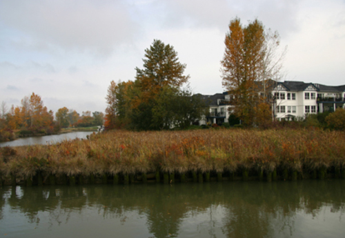 Ladner's Landing, Exterior View of Marsh 2