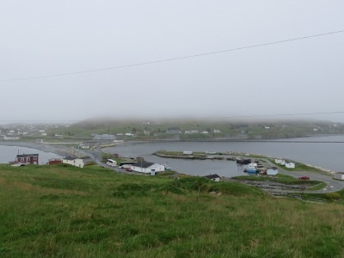 View of the Colony of Avalon NHS