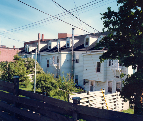 Rear view