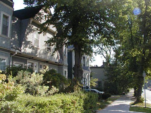 Streetscape Elevation